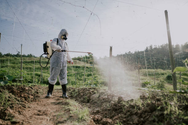 Best Pest Control for Homes  in Oakland, MD