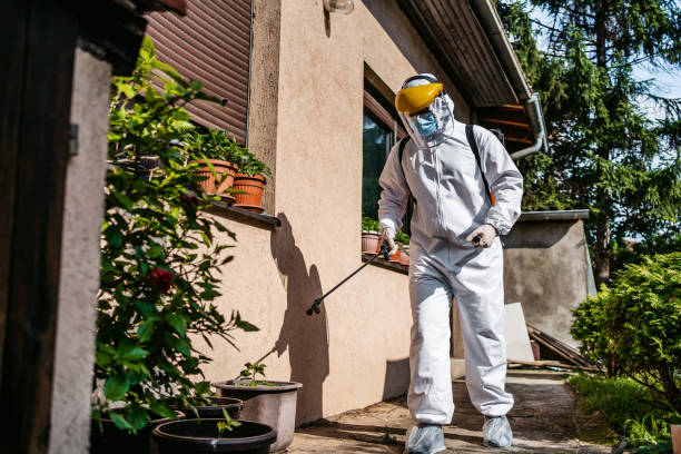 Reliable Oakland, MD Pest Control Solutions