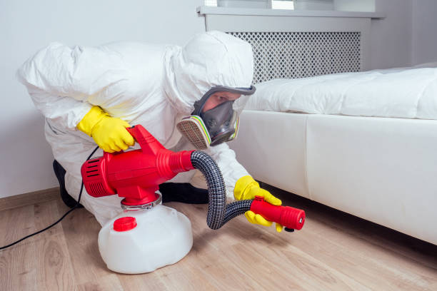 Trusted Oakland, MD Pest Control Experts