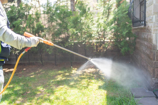 Flea Control Services in Oakland, MD
