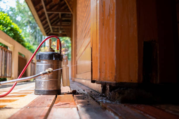 Best Termite Control Services  in Oakland, MD
