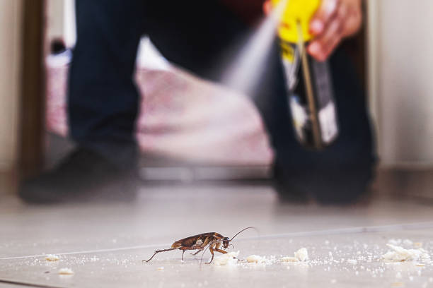 Best Affordable Pest Control Services  in Oakland, MD